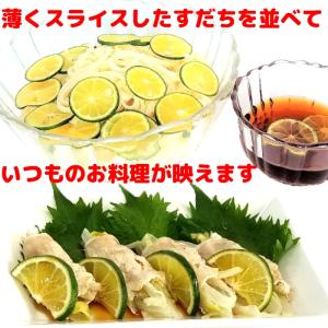(クール便送料無料)(お中元ギフト対応)すだち...の詳細画像4