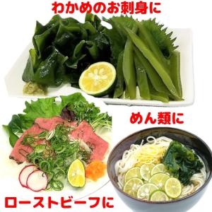 (クール便送料無料)(お中元ギフト対応)すだち...の詳細画像5