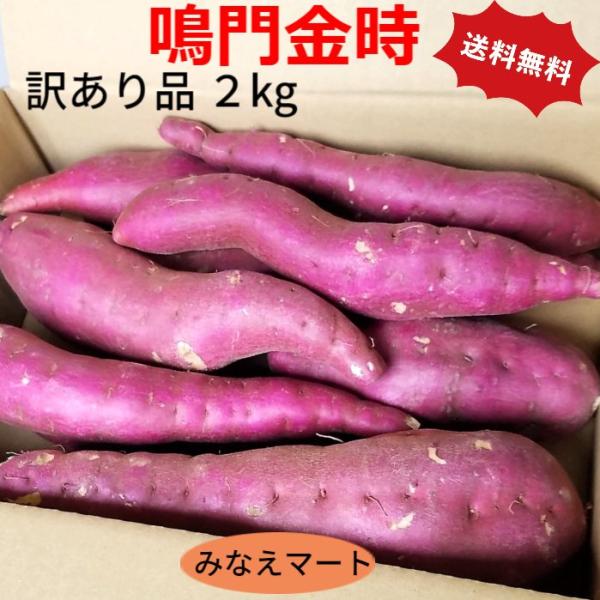 【新芋】なると金時 さつまいも 訳あり品  2kg（M、Lサイズ ８〜１０本） 送料無料 徳島産 鳴...