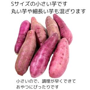 なると金時 (Sサイズ 1.5kg入り)訳あり...の詳細画像1