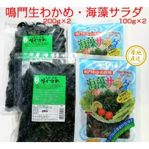 鳴門産　わかめ（200g×2)・海藻サラダ(100g×2)セット　通常便　湯通し塩蔵　ワカメ