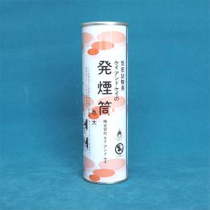 能美防災 定温式スポット型感知器 1種 露出型 耐圧防爆型 80℃ 確認