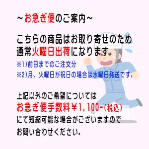 マグネット標識(MG板) 「消防用設備等 点検...の詳細画像1