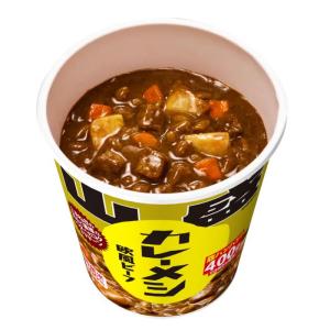 日清食品 日清山盛カレーメシ 欧風ビーフ でき...の詳細画像1