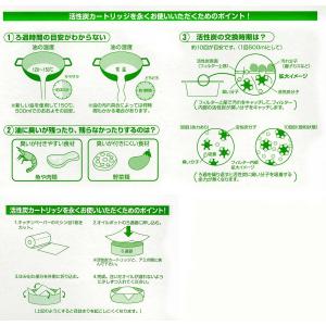 オダジマ 交換用 活性炭フィルター カートリッ...の詳細画像4