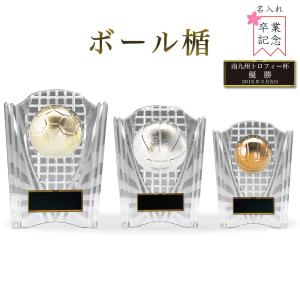 優勝 表彰 楯 盾 KV3458-Bサイズ(縦15.5cm 横12cm 重さ170g)（H-2）