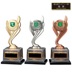 トロフィー ブロンズ BV6431 化粧箱入り 名入れ 彫刻 優勝 表彰 トロフィー 記念 記念品 南九州トロフィー