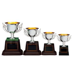 優勝カップ CP191 化粧箱入り 名入れ 彫刻 優勝 表彰 トロフィー 記念 記念品 選べるサイズ 南九州トロフィー