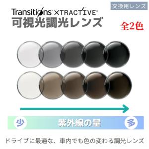 ReVision:PHOTO リビジョンフォト 可視光調光レンズ ダークグレイ