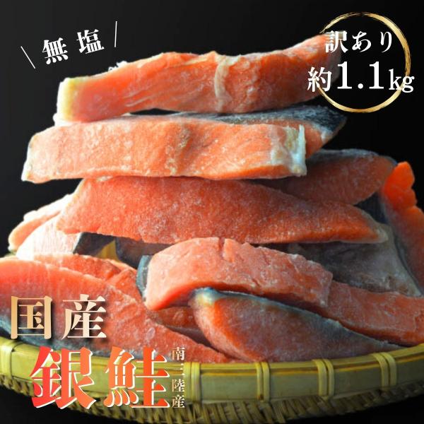 訳あり 銀鮭 切身 約1.1kg 無塩 南三陸産 宮城県 不揃い 鮭 さけ サケ 冷凍 家庭用 おか...