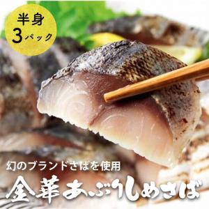お中元 敬老の日 しめ鯖 シメサバ 金華あぶりしめさば