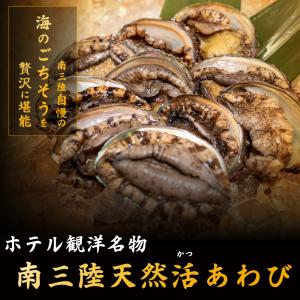 あわび アワビ 天然蝦夷あわび 刺身用100ｇ-110ｇサイズ