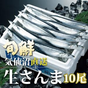 さんま 三陸 気仙沼産 生さんま 10尾 さんまつみれ汁付