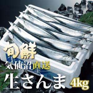 さんま 三陸 気仙沼産 生さんま4kg 40尾前後 規格外