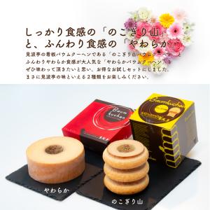 【ネット限定・送料無料】見波亭 バウムクーヘン...の詳細画像2