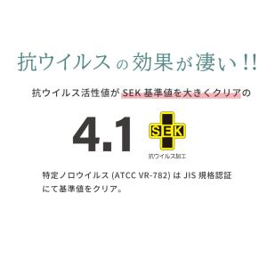 抗菌仕様 ダブル 咲夜No Way! ピロート...の詳細画像5