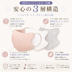 3Dマスク マスク 不織布 立体マスク バイカ...の詳細画像2