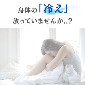 【在庫処分】3枚セット 綿 コットン ハイウエ...の詳細画像3
