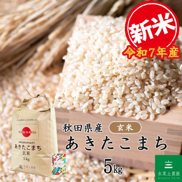 新米 令和7年産 米 お米 米5kg 玄米 あきたこまち 秋田県産 農家直送 古代米お試し袋付き