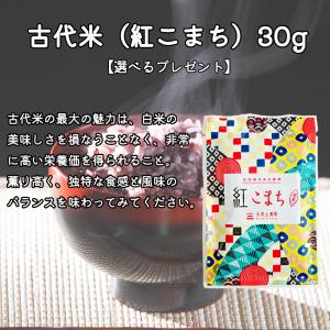 米 お米 あきたこまち 無洗米 20kg(5k...の詳細画像2