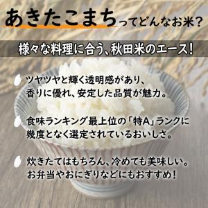 米 お米 あきたこまち 無洗米 5kg 秋田県...の詳細画像2