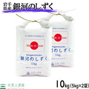 米 お米 銀河のしずく 精米 10kg （5kg×2袋） 令和7年産 岩手県産 古代米お試し袋付き