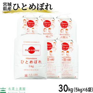 ひとめぼれ 【宮城県産】米 お米 米10kg （5kg×2袋） 白米 精米