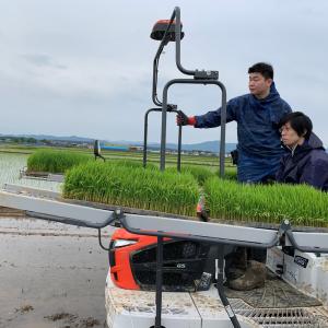 米 もち米 きぬのはだ 900g 秋田県産 令...の詳細画像3