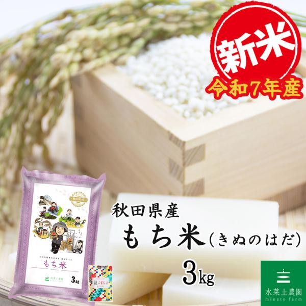 新米 米 もち米 きぬのはだ 精米 3kg 秋田県産 農家直送 古代米お試し袋付き 令和7年産
