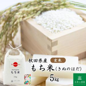 米 お米 まっしぐら 玄米 25kg（5kg×5袋）青森県産 古代米お試し袋付き