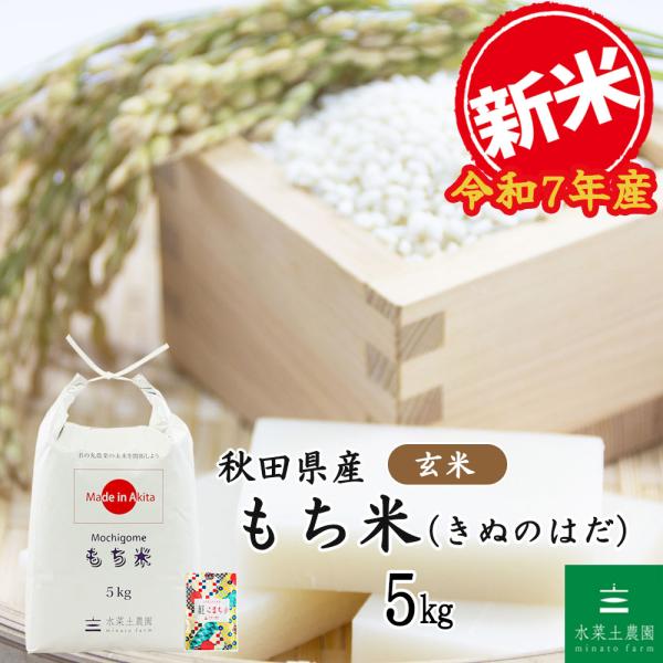新米 もち米 きぬのはだ 玄米 5kg 米 お米 秋田県産 農家直送 古代米お試し袋付き 令和7年産