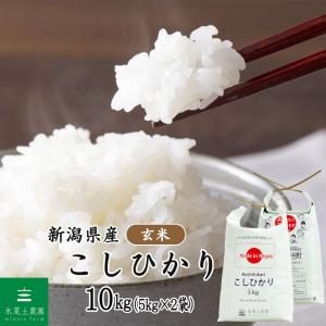 米 お米 まっしぐら 玄米 15kg（5kg×3袋）青森県産 古代米お試し袋付き