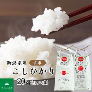 令和6年産 四国徳島のお米！徳島県産コシヒカリ 白米 12kg 6kg×2袋