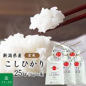 コシヒカリ 【青米・小米・くず米 25kg(特別栽培米・減農薬米)】鳥の