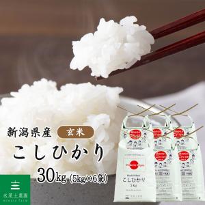 お米 米 まっしぐら 玄米 30kg（5kg×6袋）青森県産 古代米お試し袋付き
