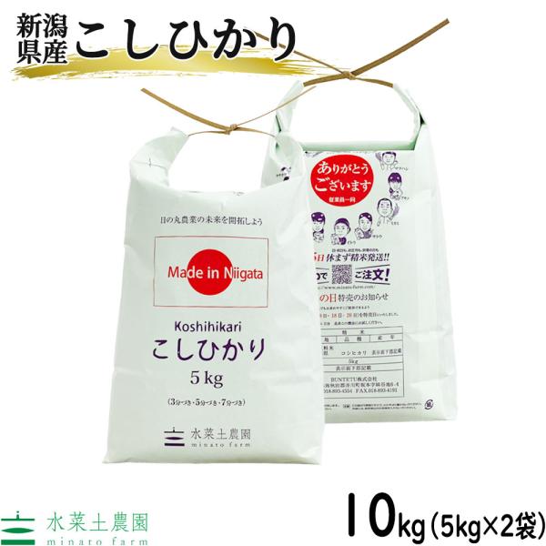 （選べるプレゼント付き）米 お米 米10kg （5kg×2袋） こしひかり 精米 令和5年産 新潟県...