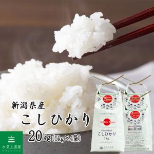 お米 米 まっしぐら 玄米 30kg（5kg×6袋）青森県産 古代米お試し袋付き 