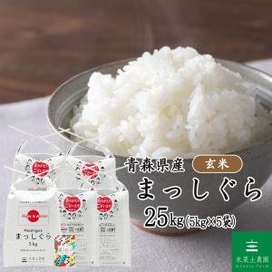ひとめぼれ 【秋田県産】米 お米 精米 30kg （5kg×6袋） 白米 古代米お