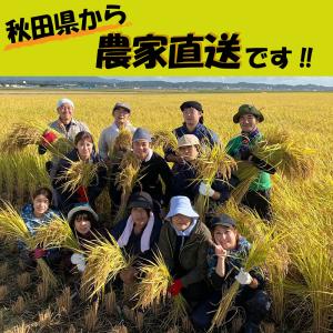 米 お米 まっしぐら 精米 10kg (5kg...の詳細画像3