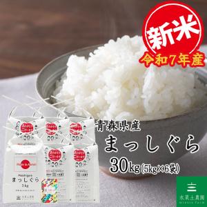 専用12本入り，お米5キロ 白米 コシヒカリ 新米 お米 5kg 白米 送料無料 愛知県産 こしひかり