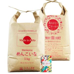 米 お米 めんこいな 精米 10kg（5kg×2袋） 白米 秋田県産 農家直送 古代米お試し袋付き 令和7年産