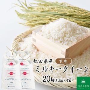 ななつぼし 米 お米 精米 20kg （5kg×4袋） 白米 北海道産（選べる