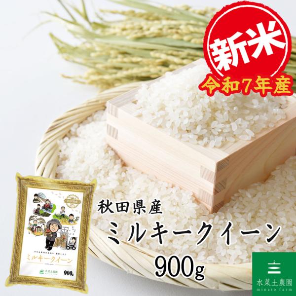 新米 米 お米 白米 精米 ミルキークイーン 900g  秋田県産 農家直送 令和7年産