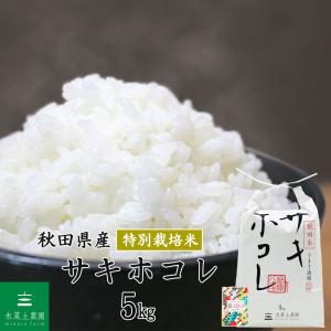 米 お米 はれわたり 精米 10kg （5kg×2袋） 白米 青森県産（選べる