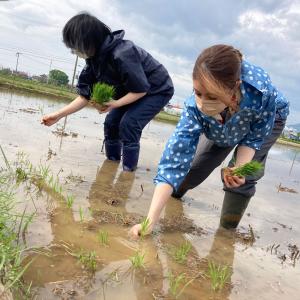 米 お米 サキホコレ 精米 5kg 白米 秋田...の詳細画像4