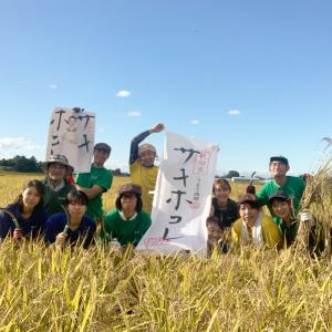 米 お米 サキホコレ 精米 5kg 白米 秋田...の詳細画像1