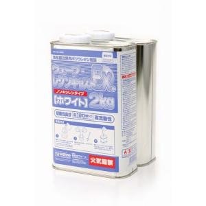 ウェーブ レジンキャストEXノンキシレンタイプ 2kg ホワイト