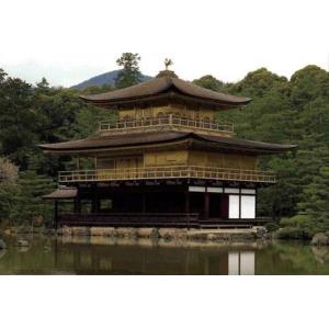 フジミ模型 建13 1/150 鹿苑寺 金閣寺 フジミ 建物 プラモデル