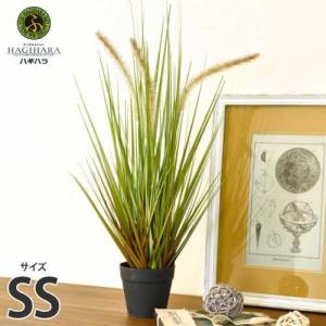 ハギハラ 人工観葉植物 キャッツテールグラス #1713 (SS/53cm) [人工植物 造花 観葉植物]｜minatodenki