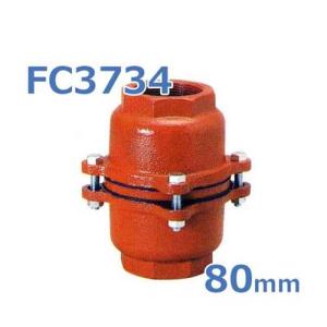 鋳物フートバルブ 80A (３インチ) 先端用 (底用) 鋳物フートバルブ 80A (3インチ) 先端用 (底用) 鋳物フートバルブ 80A